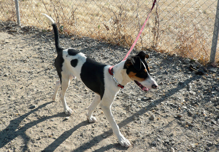 multimedia-foto52796-388-1