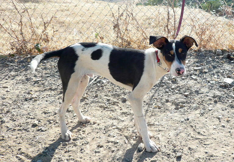 multimedia-foto52797-389-1