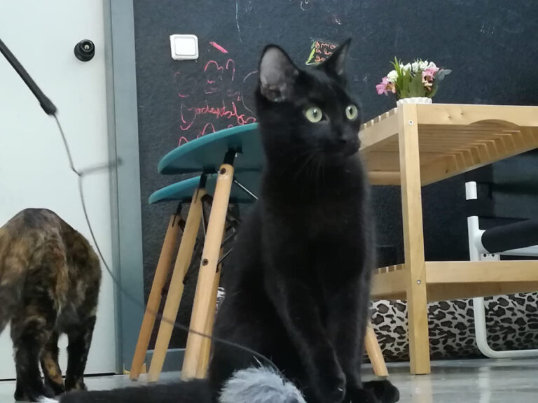 multimedia-foto52814-789-1