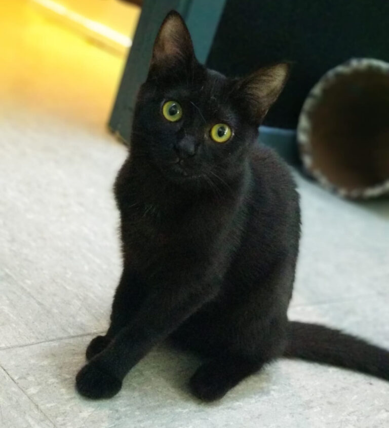 multimedia-foto52818-864-1