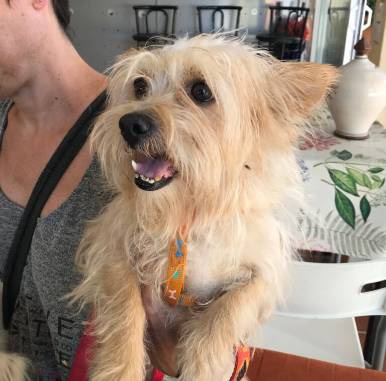 multimedia-foto52964-500-1