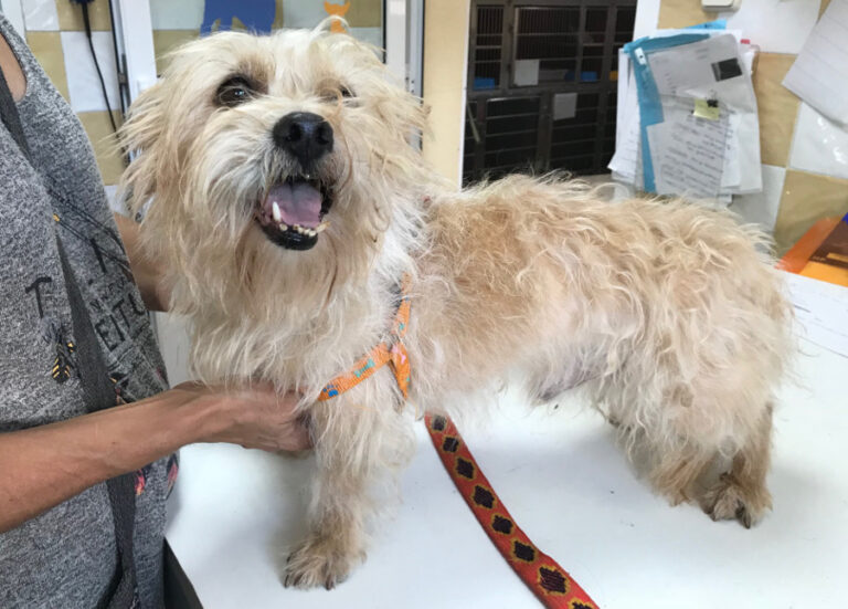 multimedia-foto52965-501-1