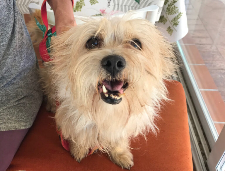 multimedia-foto52966-501-1