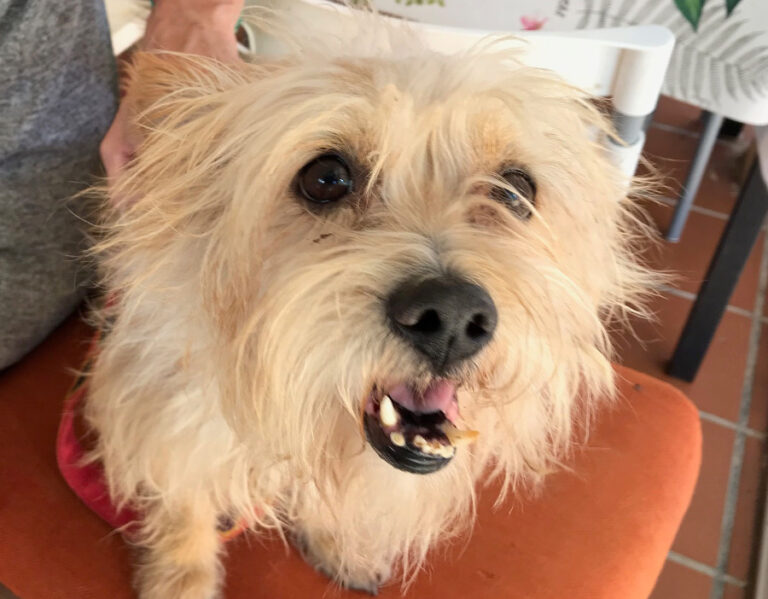 multimedia-foto52967-501-1