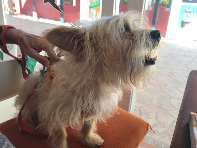 multimedia-foto52968-501-1