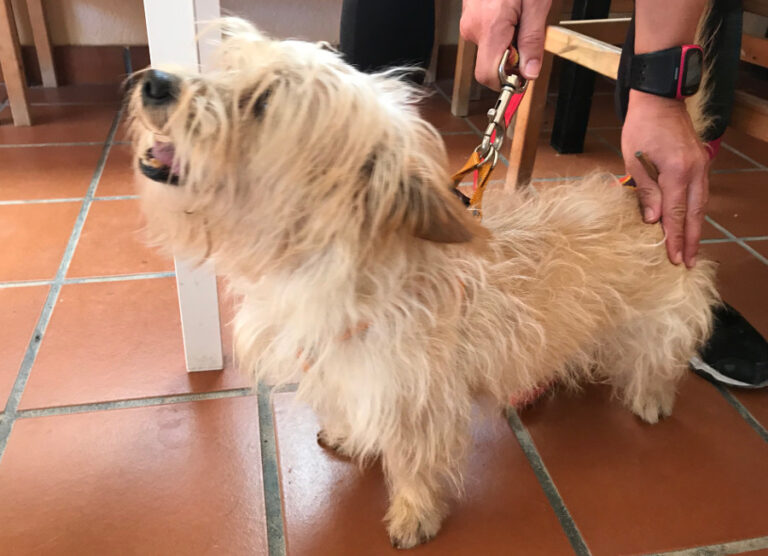 multimedia-foto52969-502-1