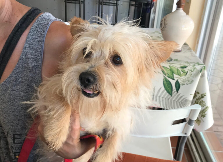 multimedia-foto52970-502-1