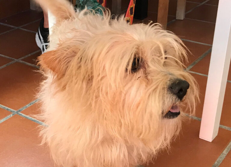 multimedia-foto52971-502-1