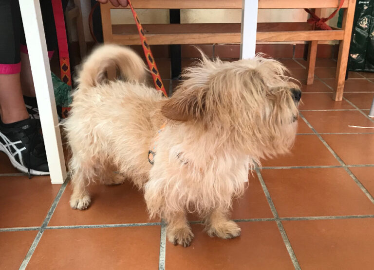 multimedia-foto52972-503-1