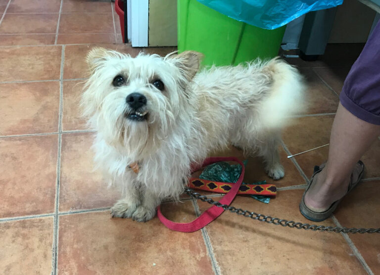 multimedia-foto52973-503-1