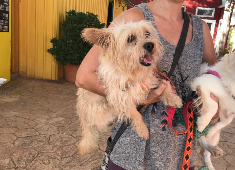 multimedia-foto52975-503-1