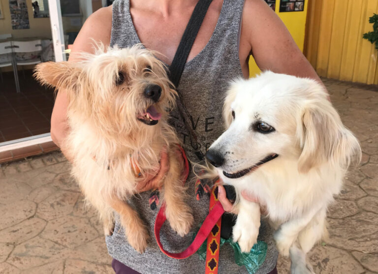 multimedia-foto52976-504-1