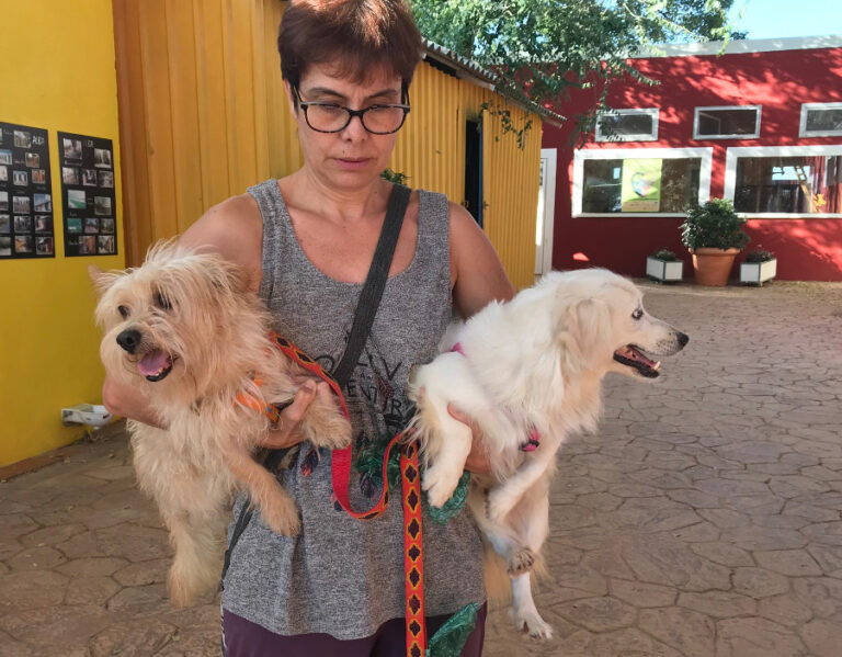 multimedia-foto52977-504-1