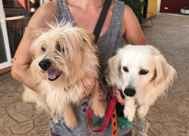 multimedia-foto52978-504-1