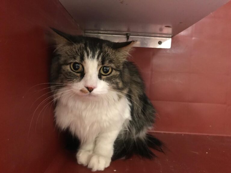 multimedia-foto53009-127-1