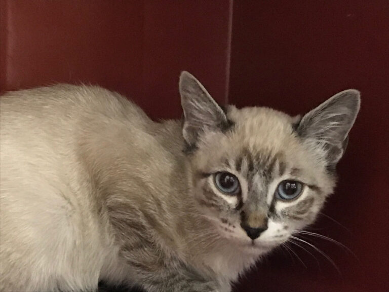 multimedia-foto53044-832-1