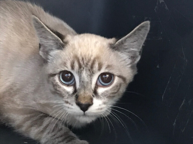 multimedia-foto53046-832-1