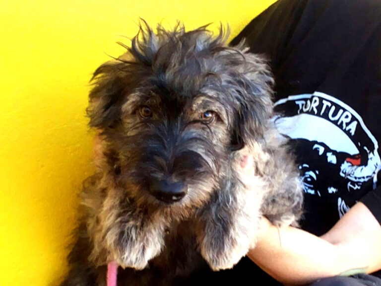 multimedia-foto53077-591-1