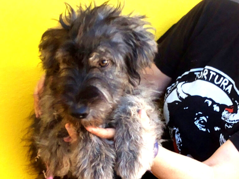 multimedia-foto53079-591-1