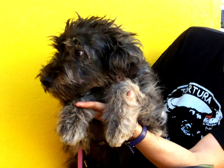 multimedia-foto53082-592-1