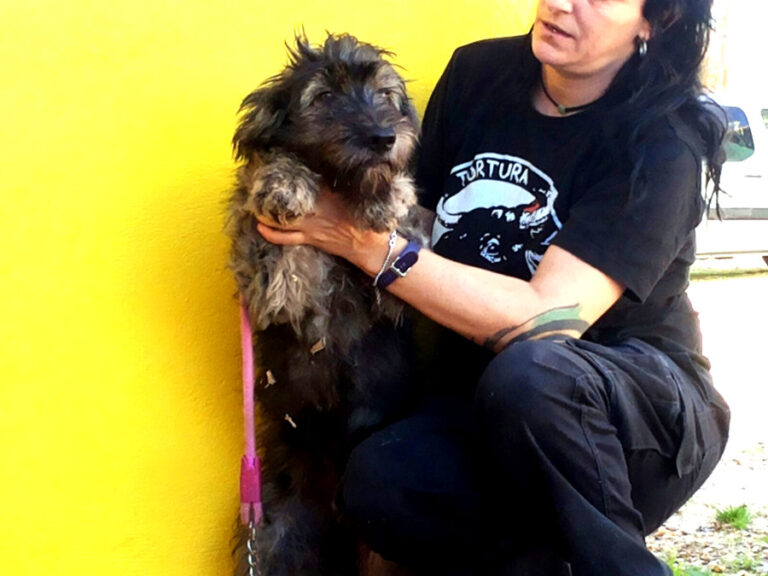 multimedia-foto53083-592-1