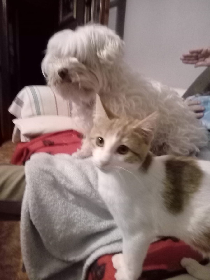 multimedia-foto53149-857-1