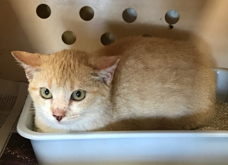 multimedia-foto53153-112-1