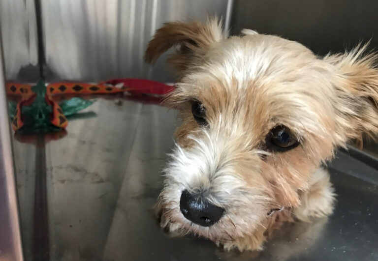 multimedia-foto53159-85-1