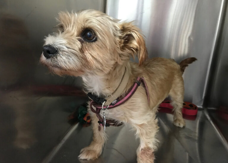 multimedia-foto53161-86-1