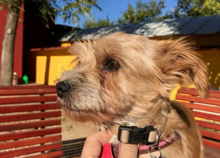 multimedia-foto53162-86-1