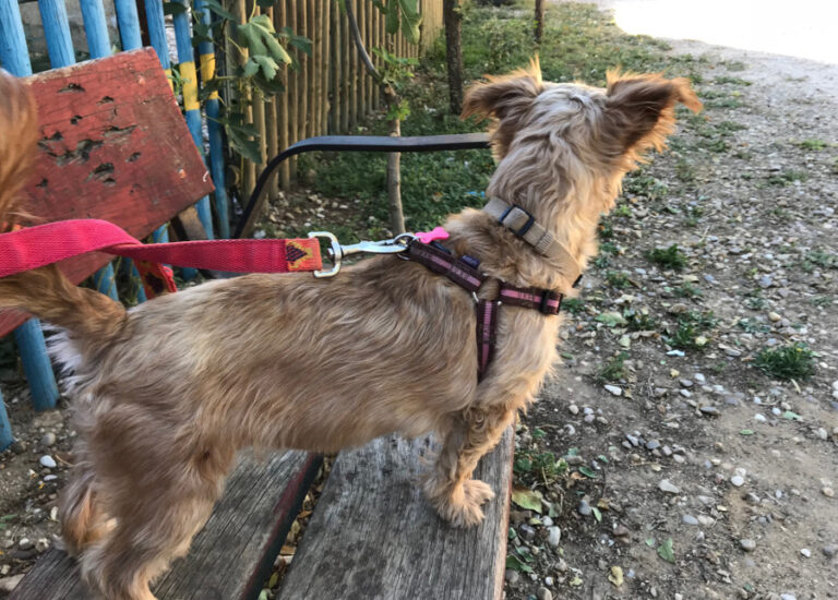 multimedia-foto53163-86-1