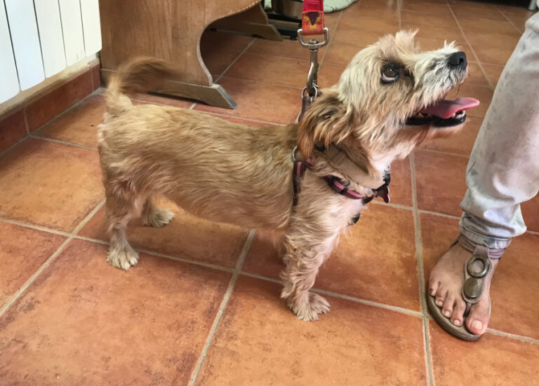 multimedia-foto53164-86-1