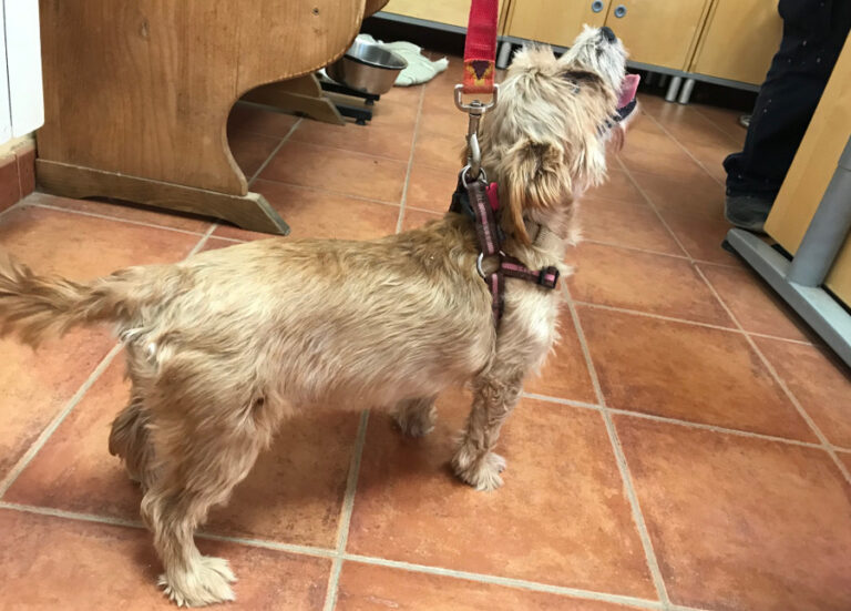 multimedia-foto53165-87-1