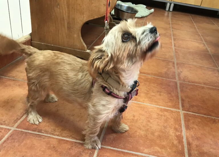 multimedia-foto53166-87-1