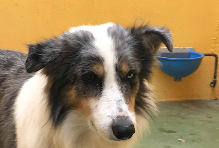 multimedia-foto53175-923-1