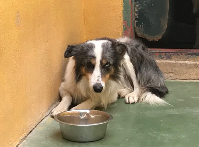 multimedia-foto53176-924-1