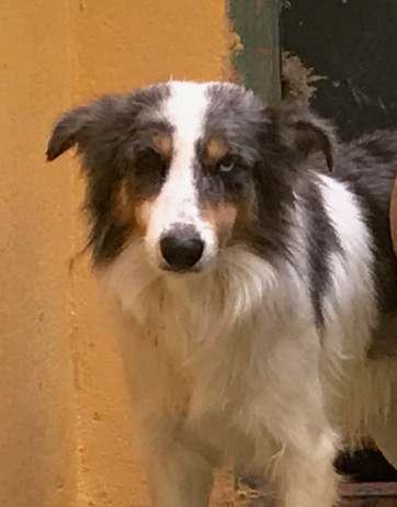 multimedia-foto53177-924-1