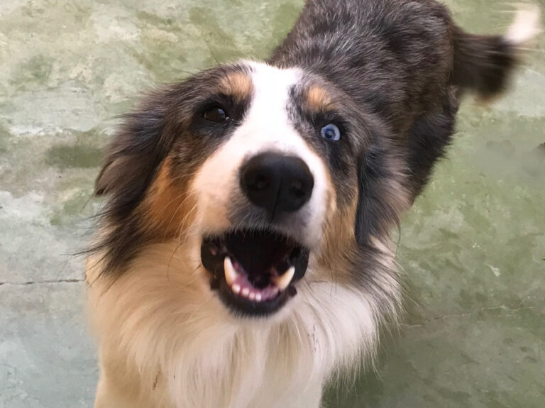 multimedia-foto53178-924-1