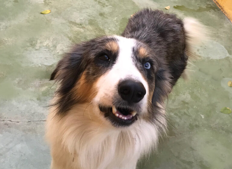 multimedia-foto53179-924-1