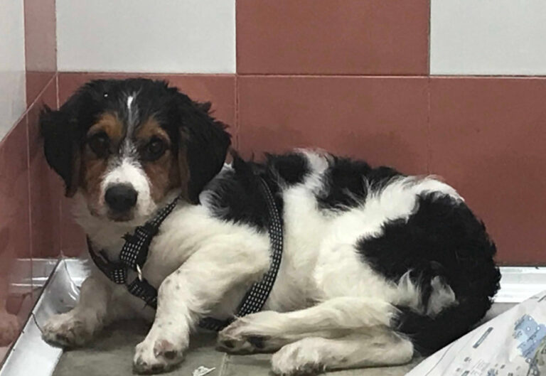 multimedia-foto53202-178-1