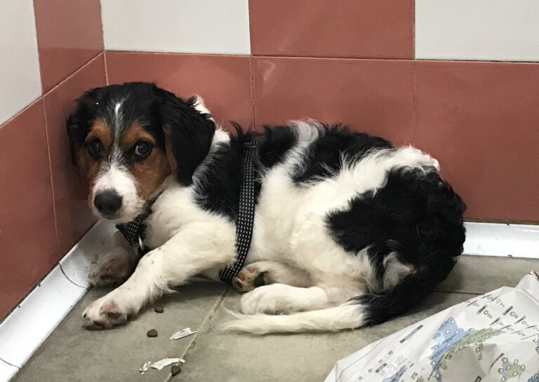 multimedia-foto53203-178-1