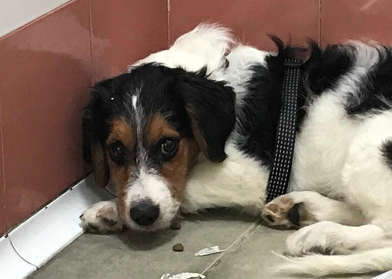 multimedia-foto53204-178-1