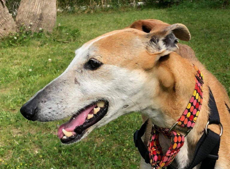 multimedia-foto53212-259-1