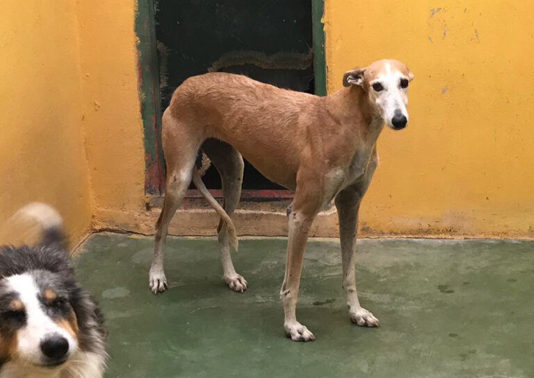 multimedia-foto53213-259-1