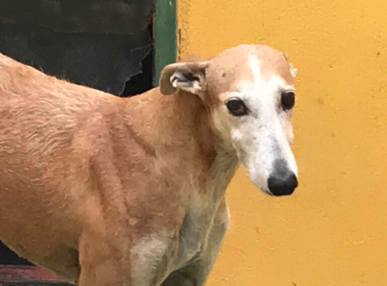 multimedia-foto53214-259-1