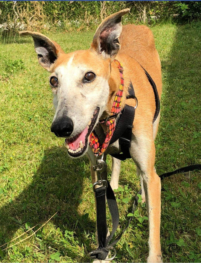 multimedia-foto53215-259-1