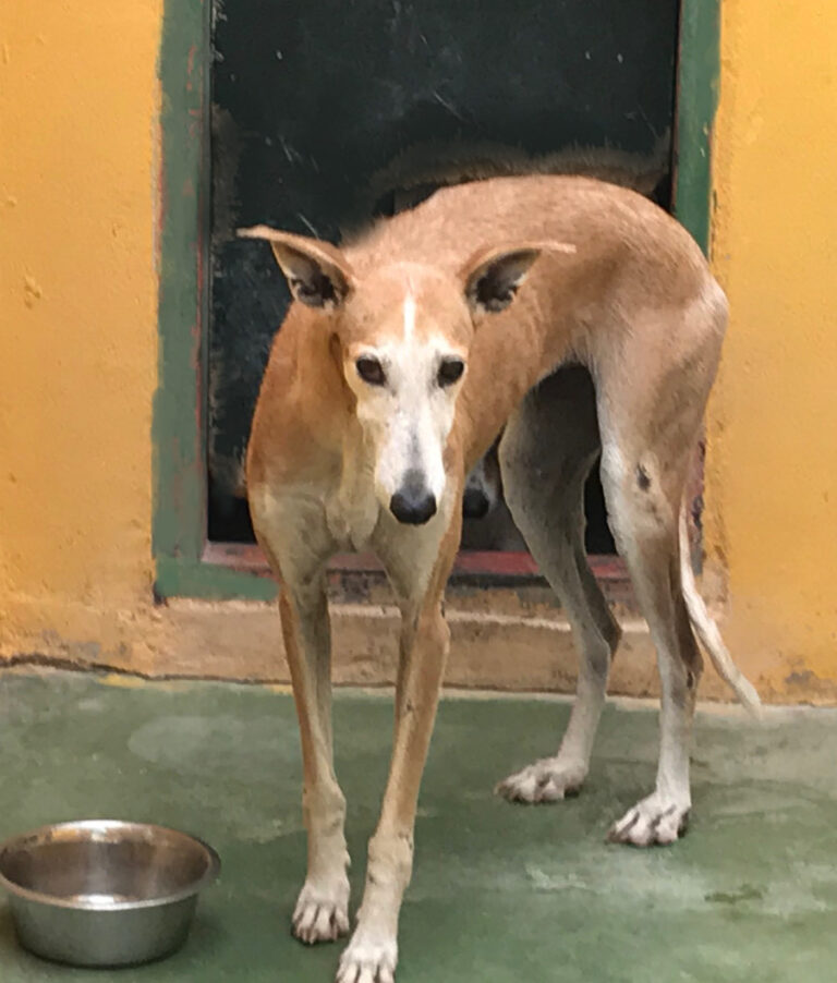 multimedia-foto53217-260-1