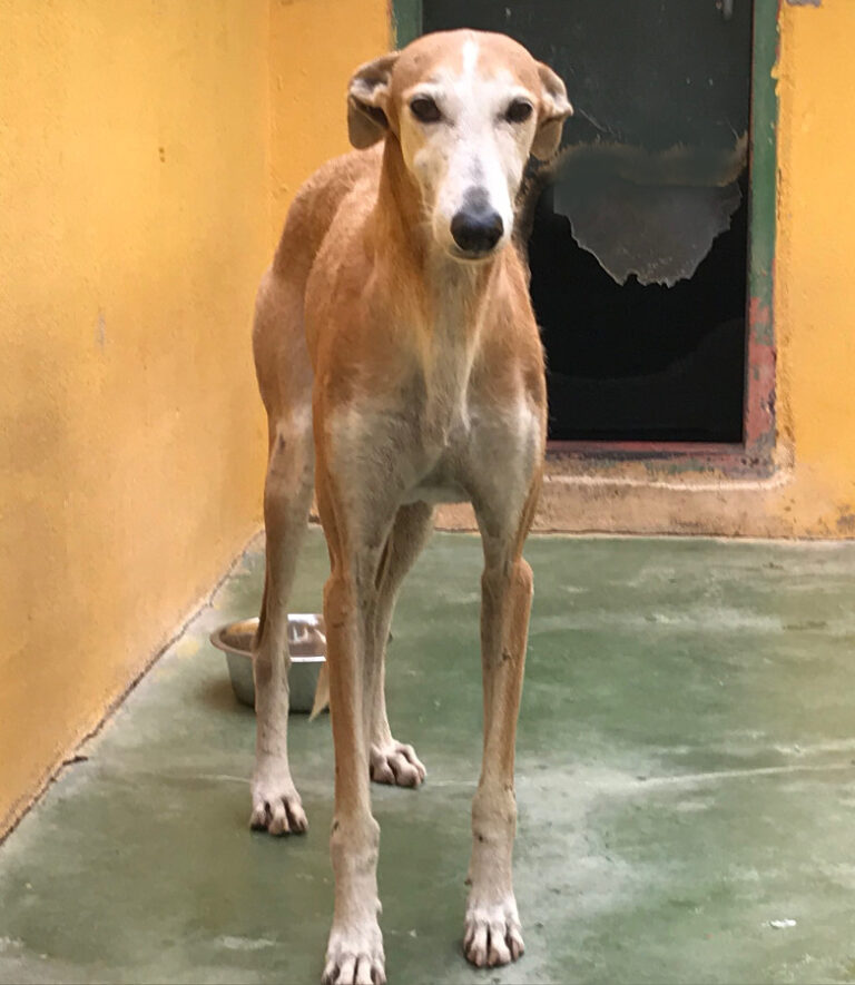 multimedia-foto53218-260-1