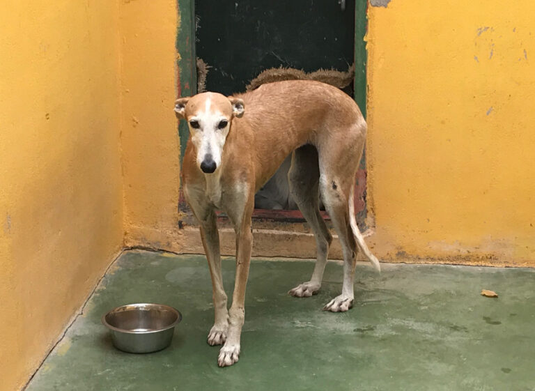 multimedia-foto53219-261-1