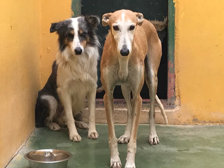 multimedia-foto53221-289-1